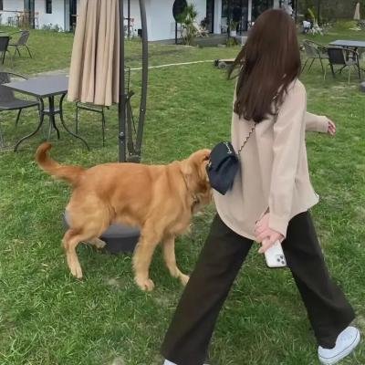枪声背后